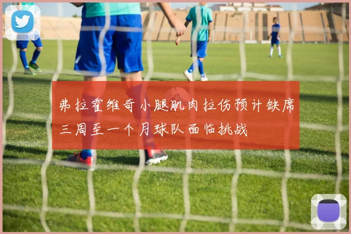 弗拉霍维奇小腿肌肉拉伤预计缺席三周至一个月球队面临挑战